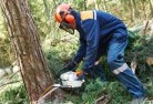 Port Adelaidetree-cutting-services-21.jpg; ?>